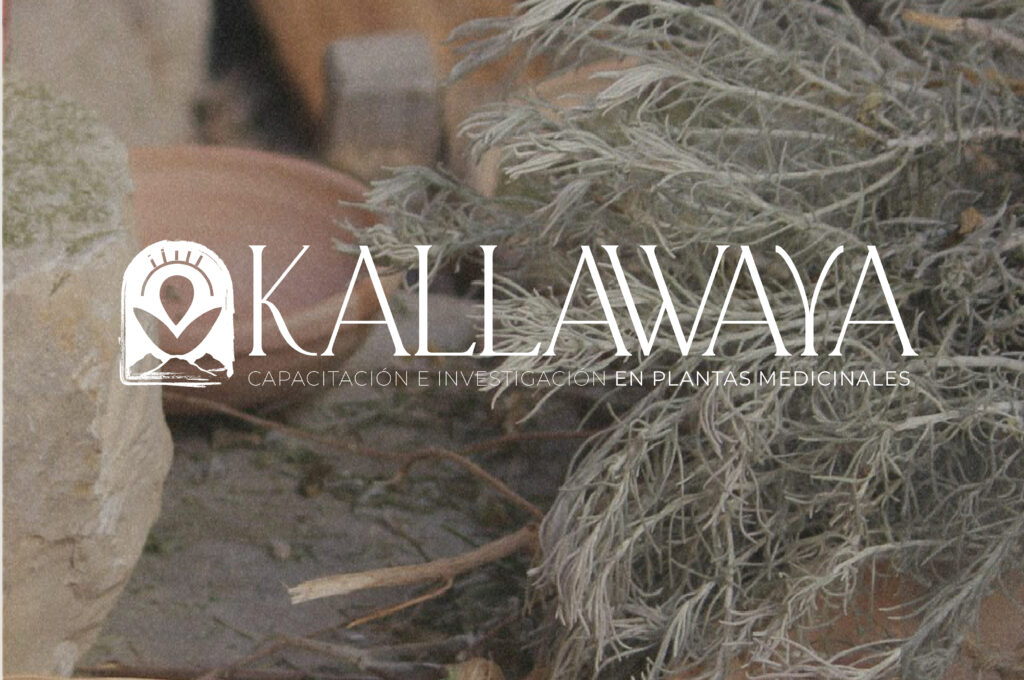 56v5mesa de trabajo 15@4x 100