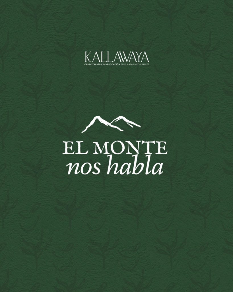 Kallawaya